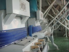 脫皮和脫胚的原理